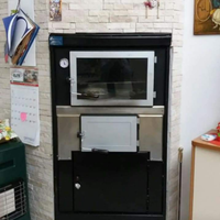 Forni a legna a combustione separata