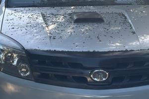 Fuoristrada 2.4 GPL cv126