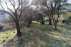 Terreno edificabile vista mare