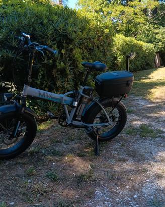 bigi elettrica 20"