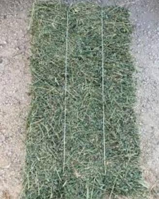 Vendita ballette di erba medica