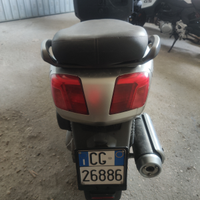 Vercity 300 intero