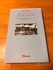 Un avvocato in parlamento Dino Felisetti 2005