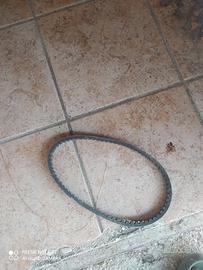cinghia dentata 