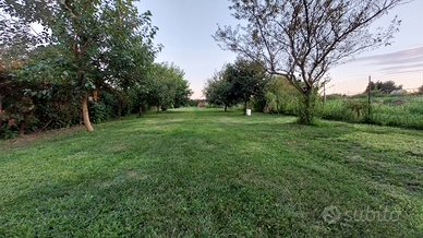 Terreno agricolo alberato