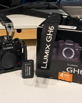 Panasonic Lumix GH-6