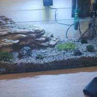 acquario/tartarugario aperto 