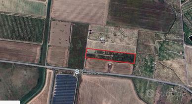 Terreno con piccolo fabbricato coltivato a fruttet