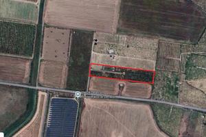 Terreno con piccolo fabbricato coltivato a fruttet