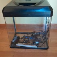 Acquario 30 lt