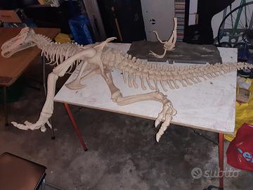 Riproduzione in scala SCHELETRO T REX
