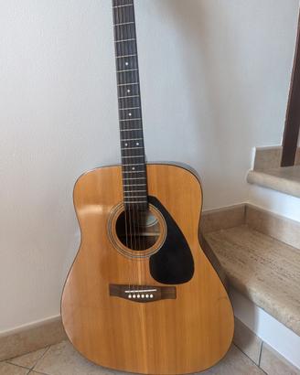 fender f310