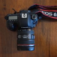 Canon EOS 6D Mark II + Canon EF 24-70mm f/4L USM