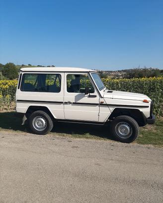 MERCEDES GD 300 anno 1984