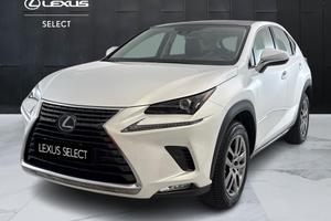 LEXUS NX I 2018 - NX 300h 2.5 Premium 4wd cvt