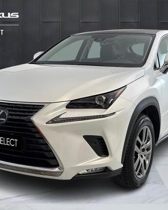 LEXUS NX I 2018 - NX 300h 2.5 Premium 4wd cvt