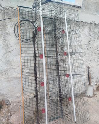 gabbia galline 