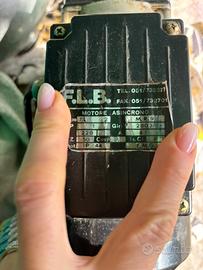 Macchina Trita carne FLB