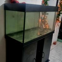 acquario 200 litri