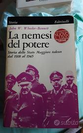 La Nemesi del Potere