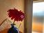 Immagine 23