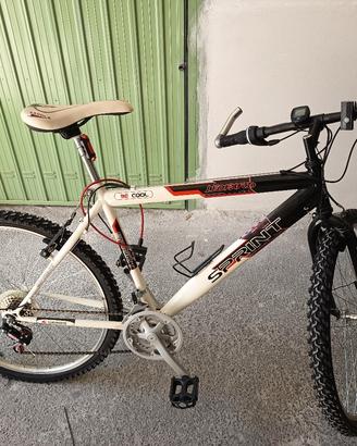 Mountain bike 26"