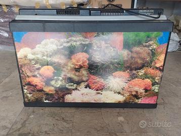 Acquario