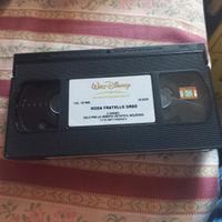 vhs koda fratello orso 