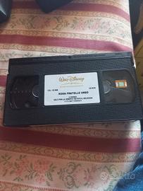 vhs koda fratello orso 