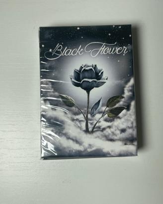 Carte Black flower Jack Nobile