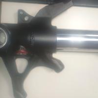 forcelle  ducati Panigale 