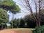 Immagine 25