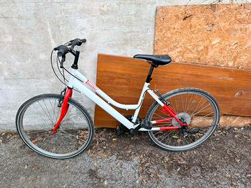 Mountain bike
