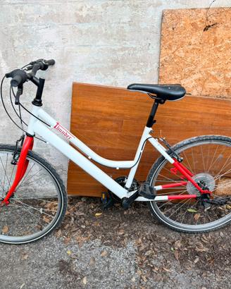 Mountain bike