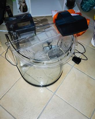 acquario tetra 30 litri
