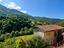 Immagine 14