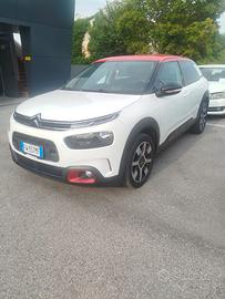 Cactus C4