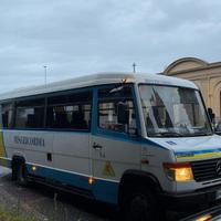 Mercedes Vario sprinter 815