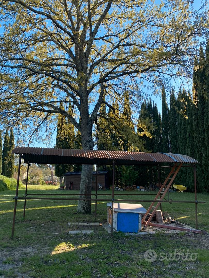 Terreno con ulivi - Vista 3