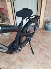 bicicletta elettrica 