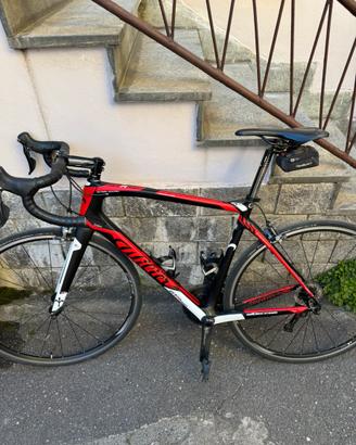 Wilier Triestina GTR TEAM - Carbonio/Ultegra