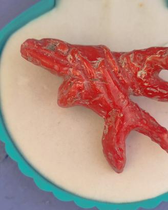 corallo rosso naturale di Sardegna inciso 