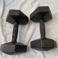 Due manubri da 10 kg decathlon
