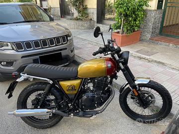 Brixton Cromwell 250 - 2022