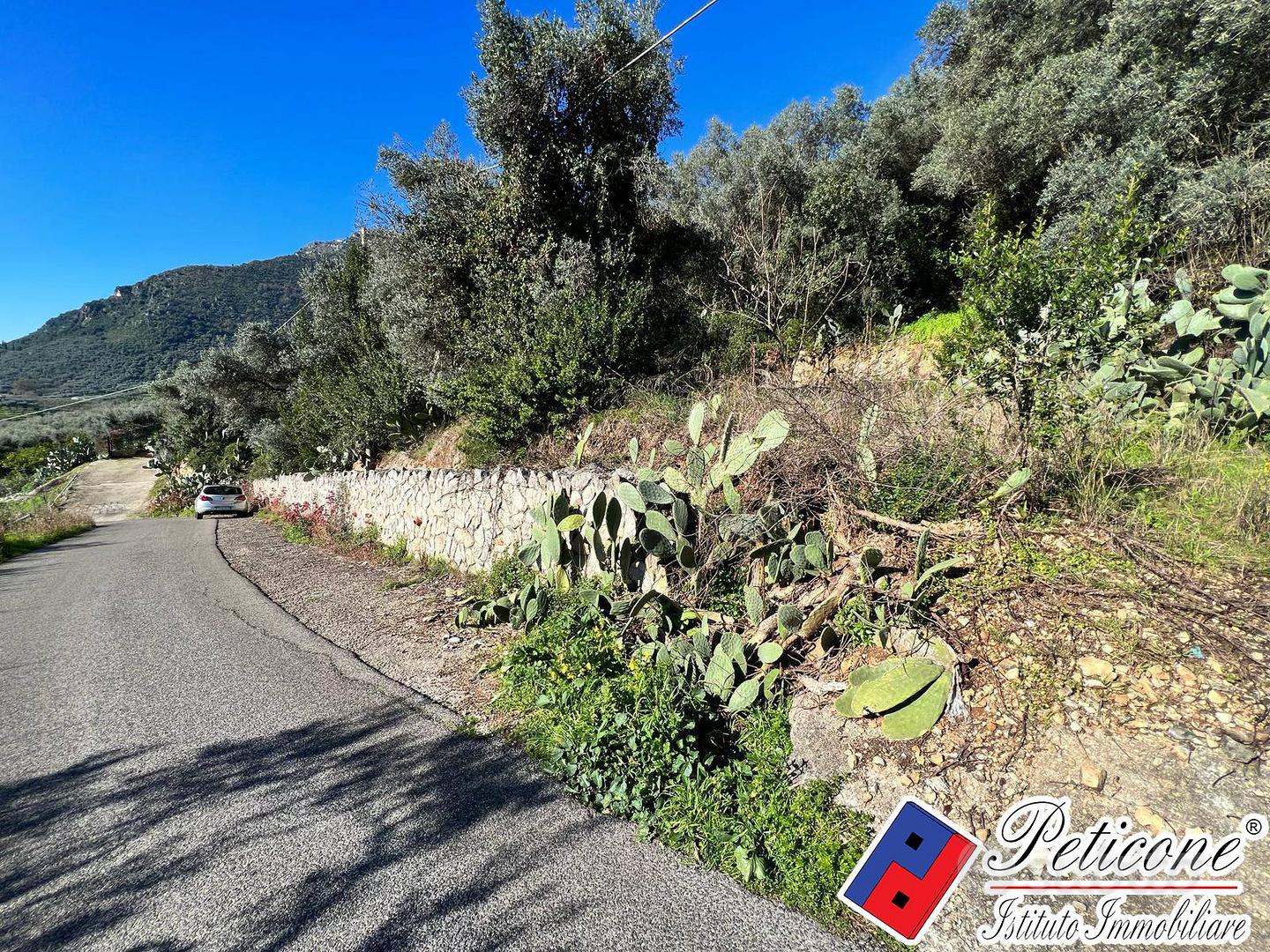 Terreno edificabile - Fondi - Vista 6