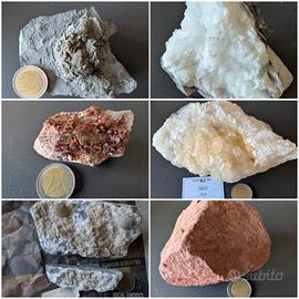 Minerali e fossili vari