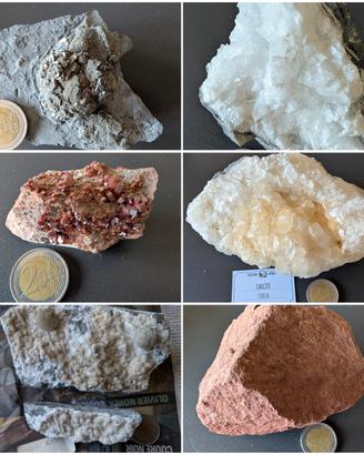 Minerali e fossili vari