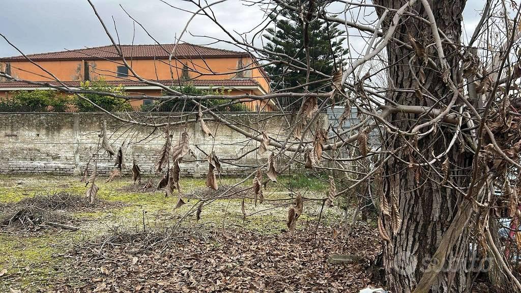 Terreno di 487 m² a Marcianise - Vista 5