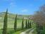 Immagine 9