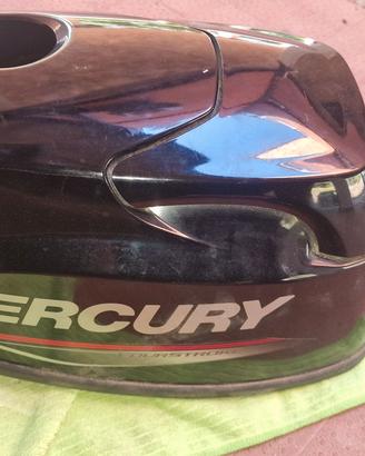 Motoretto  mercury , garmin con Ecoscandag ultrafl